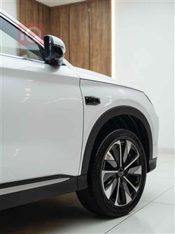 بي واي دي سونغ بلس